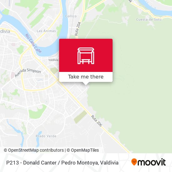 Mapa de P213 - Donald Canter / Pedro Montoya