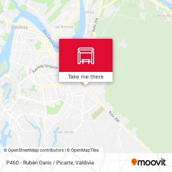 P460 - Rubén Darío / Picarte map