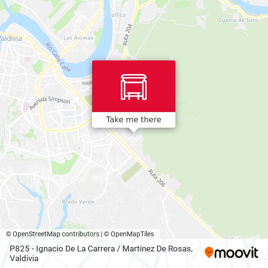 Mapa de P825 - Ignacio De La Carrera / Martínez De Rosas