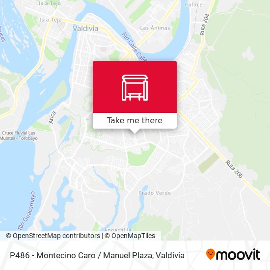 P486 - Montecino Caro / Manuel Plaza map