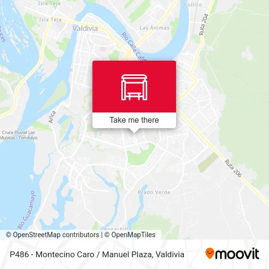 Mapa de P486 - Montecino Caro / Manuel Plaza
