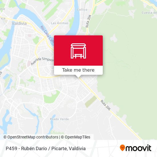 P459 - Rubén Darío / Picarte map