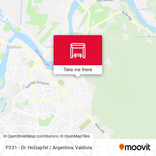 P231 - Dr. Holzapfel / Argentina map