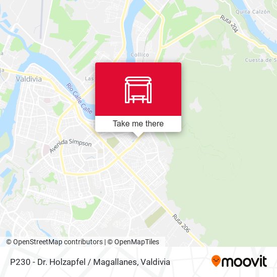 Mapa de P230 - Dr. Holzapfel / Magallanes