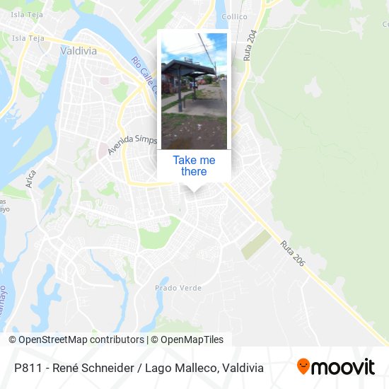 P811 - René Schneider / Lago Malleco map