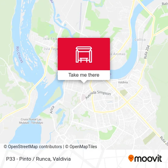 P33 - Pinto / Runca map