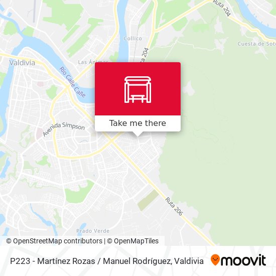 P223 - Martínez Rozas / Manuel Rodríguez map