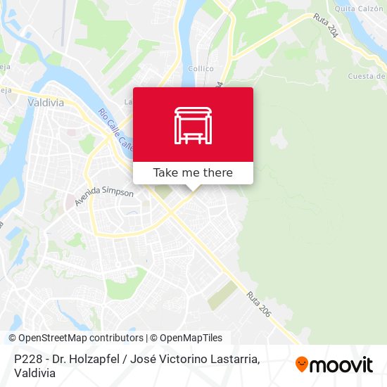 P228 - Dr. Holzapfel / José Victorino Lastarria map