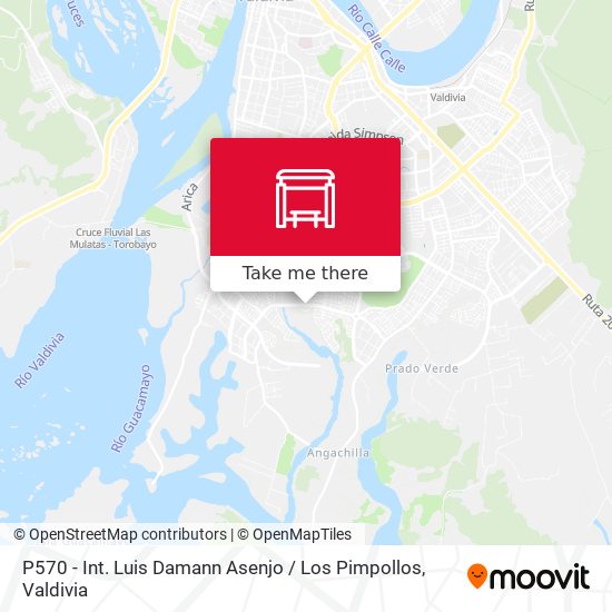 P570 - Int. Luis Damann Asenjo / Los Pimpollos map