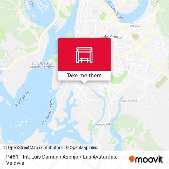 P481 - Int. Luis Damann Asenjo / Las Avutardas map