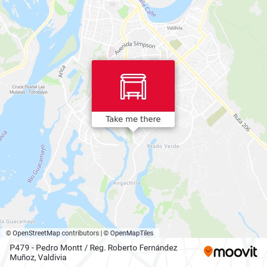P479 - Pedro Montt / Reg. Roberto Fernández Muñoz map