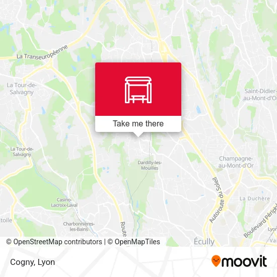 Cogny map