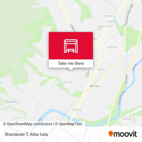 Brandusei T map