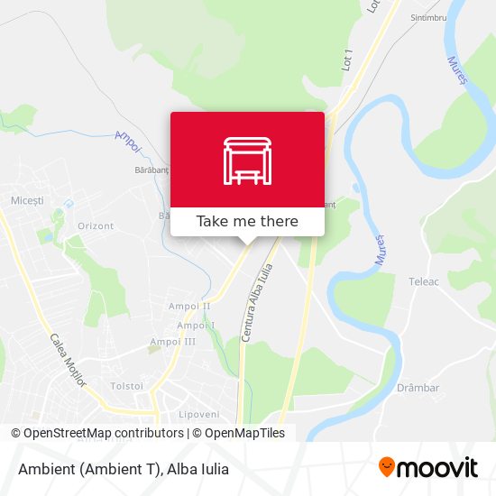 Ambient (Ambient T) map