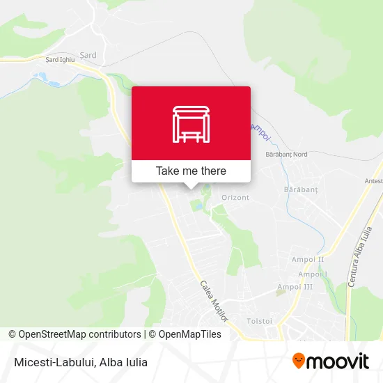 Micesti-Labului map