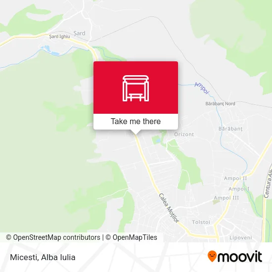 Micesti map