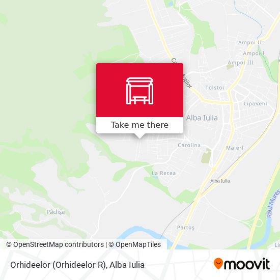 Orhideelor (Orhideelor R) map