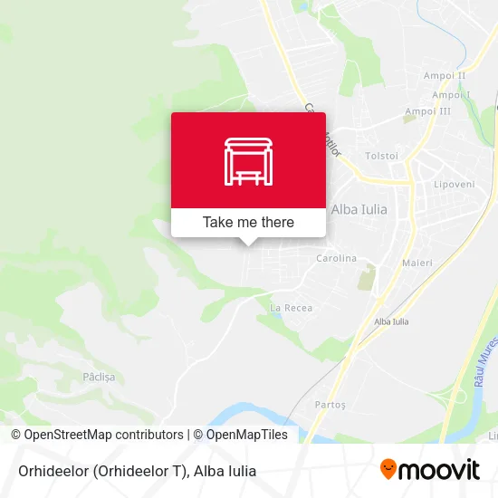 Orhideelor (Orhideelor T) map