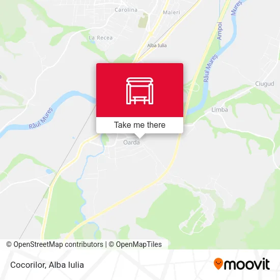 Cocorilor map