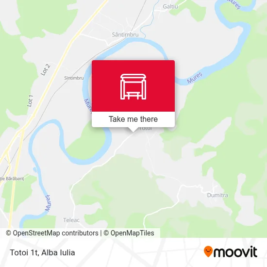 Totoi 1t map