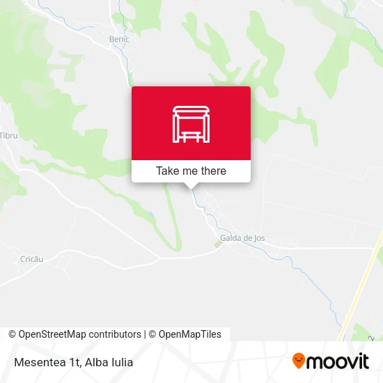 Mesentea 1t map