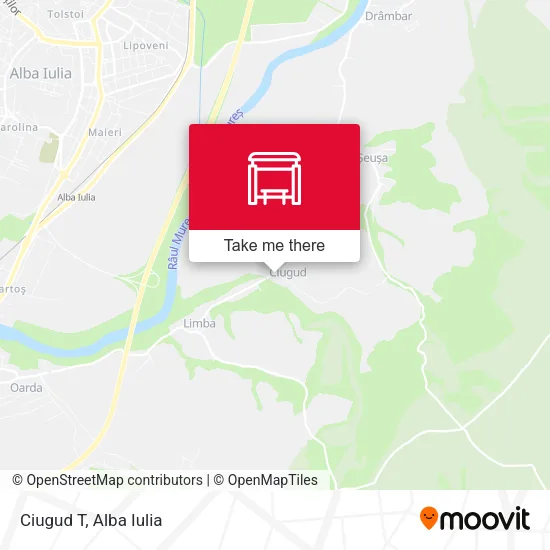 Ciugud T map
