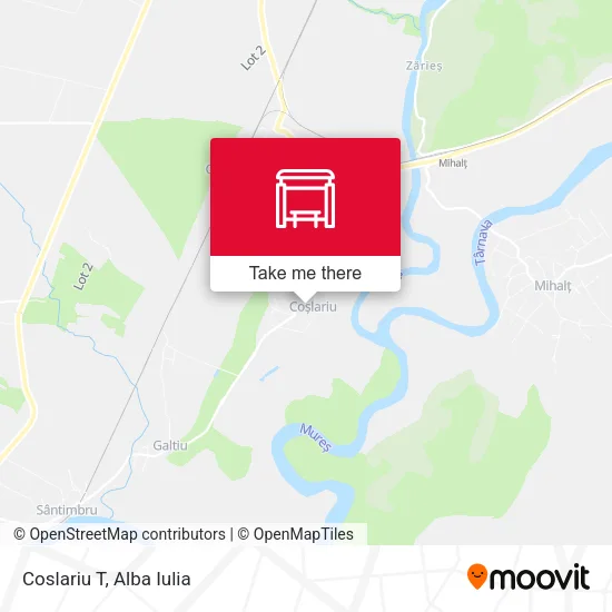 Coslariu T map