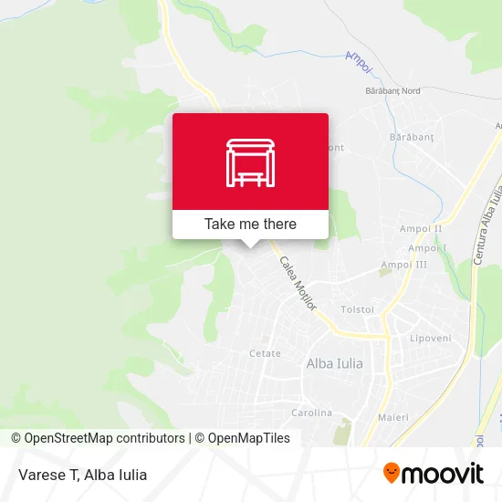 Varese T map