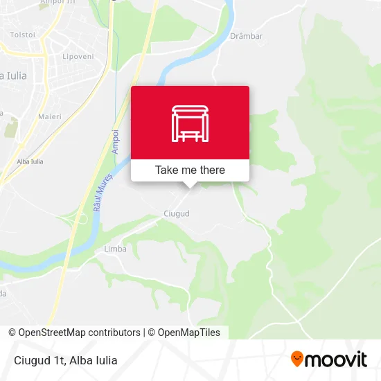 Ciugud 1t map