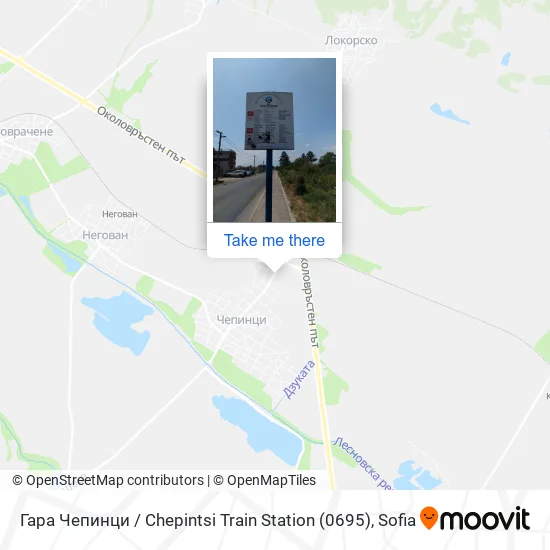 Карта Гара Чепинци / Chepintsi Train Station (0695)
