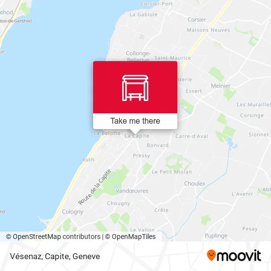 Vésenaz, Capite map