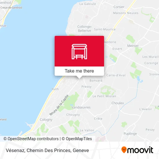 Vésenaz, Chemin Des Princes map