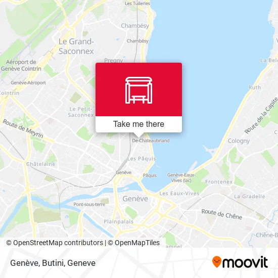 Genève, Butini map