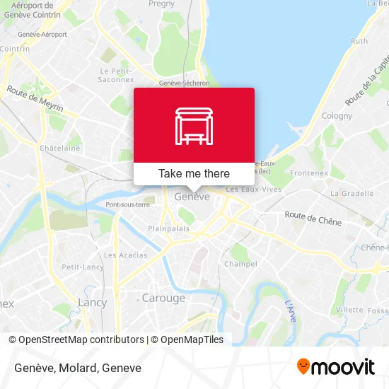 Genève, Molard map