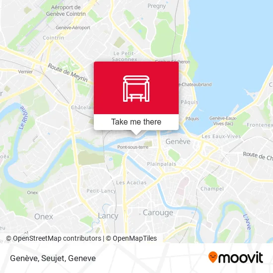 Genève, Seujet plan
