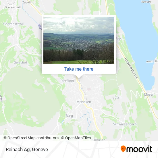 Reinach Ag map