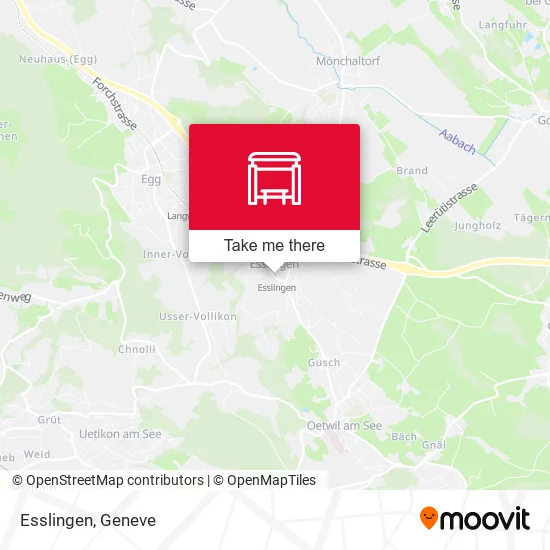 Esslingen plan