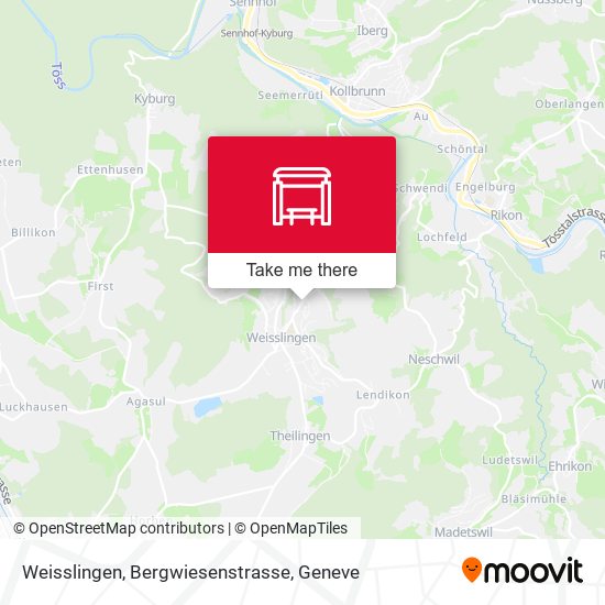 Weisslingen, Bergwiesenstrasse map