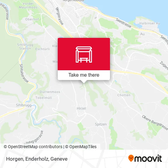 Horgen, Enderholz plan