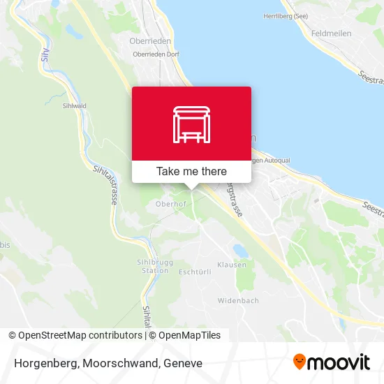 Horgenberg, Moorschwand map