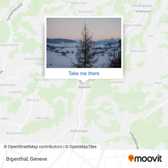 Bigenthal map