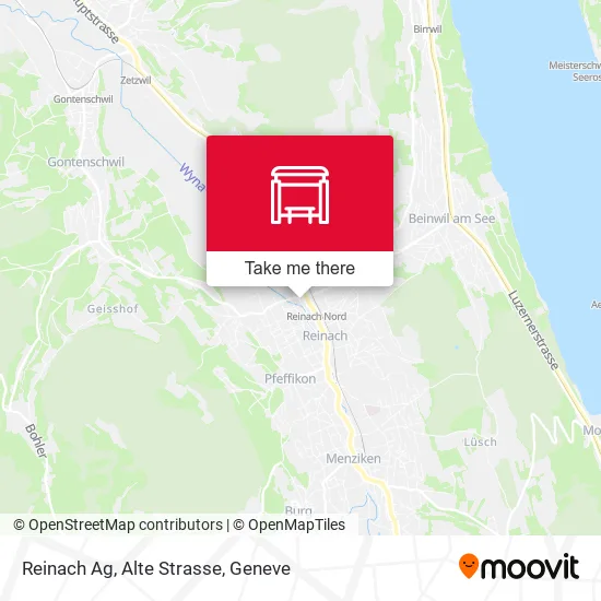 Reinach Ag, Alte Strasse map