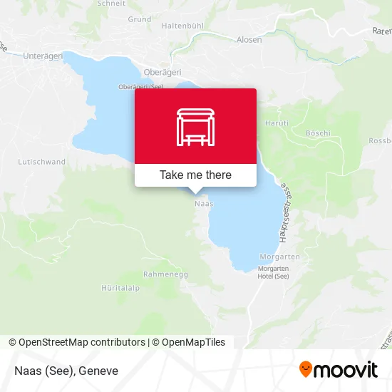 Naas (See) map
