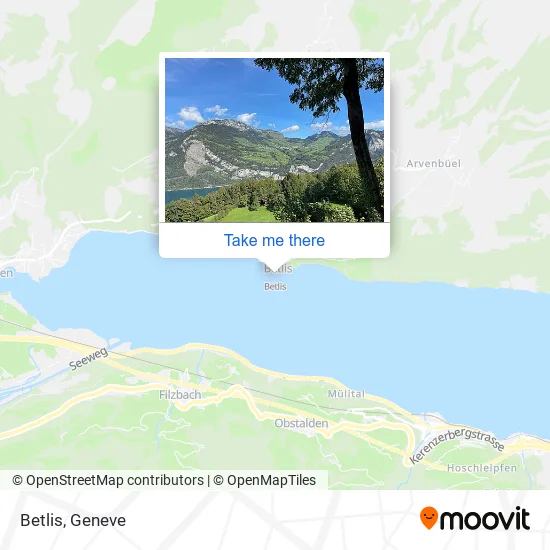 Betlis map