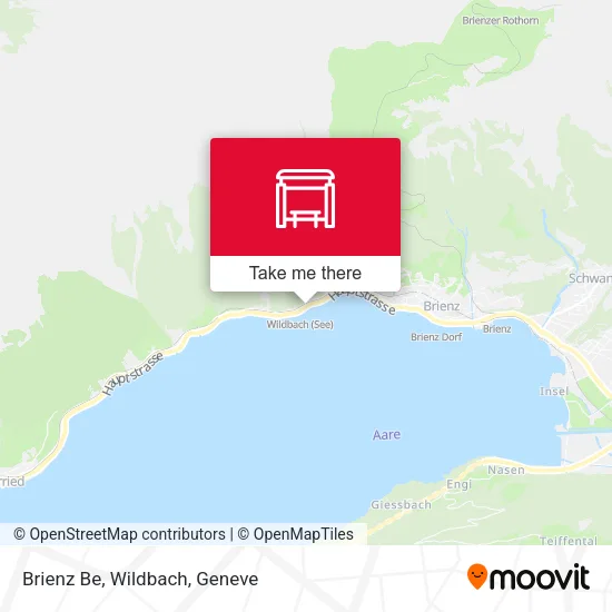 Brienz Be, Wildbach map