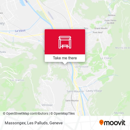 Massongex, Les Palluds map