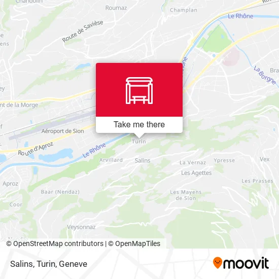 Salins, Turin map