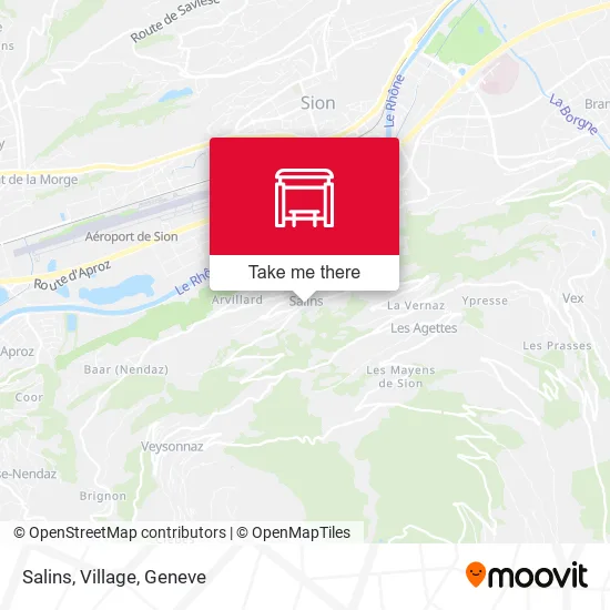 Salins, Village map
