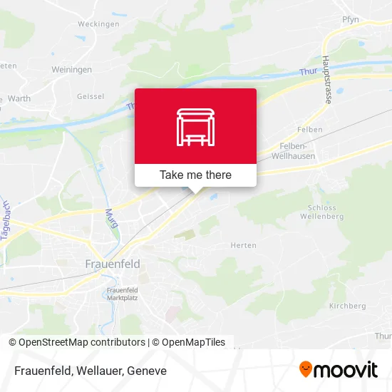 Frauenfeld, Wellauer map