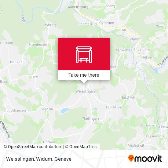 Weisslingen, Widum map